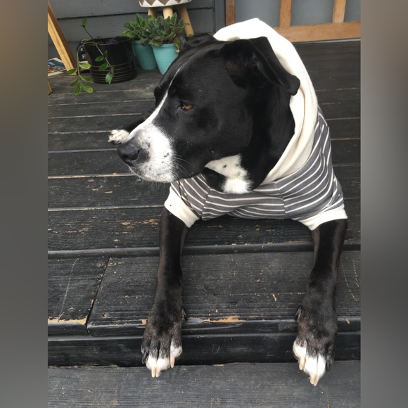 Meet your Posher, A Late Bloomer - Picture 13 of 15